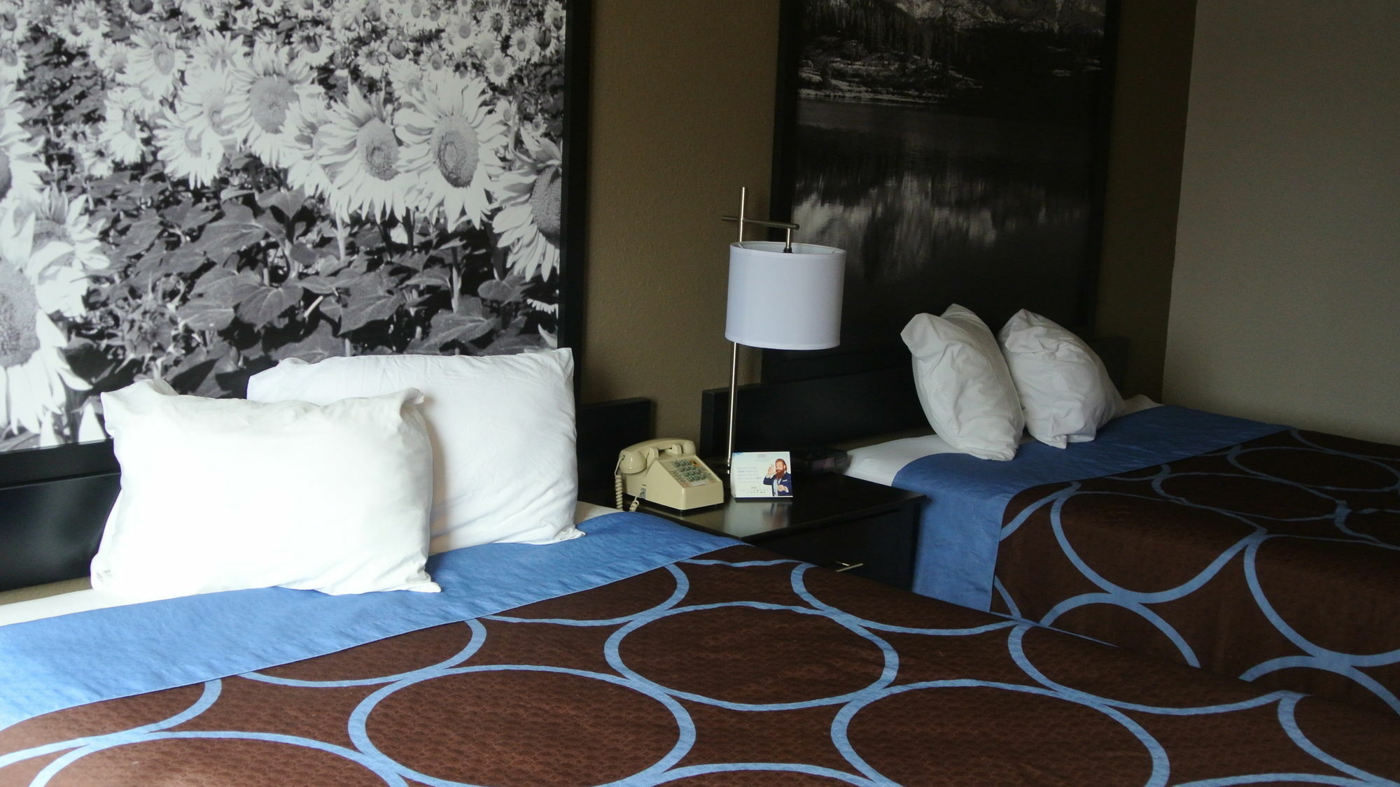 Super 8 By Wyndham Cortez/Mesa Verde Area Extérieur photo